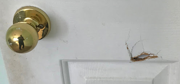 interior door hole repair Marina del Rey