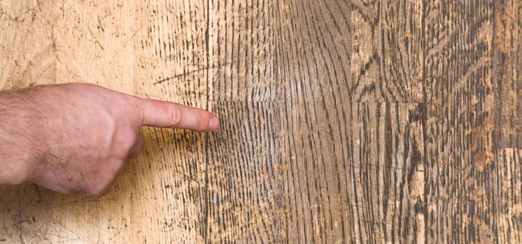 Wood Door Scratch Repair in Marina del Rey